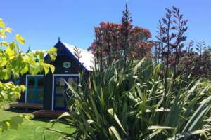 Boatshed Cabin accommodation at Leigh Central