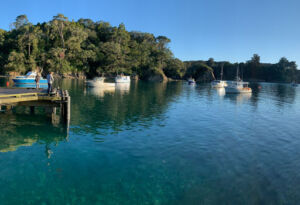 Liegh harbbour New Zealand